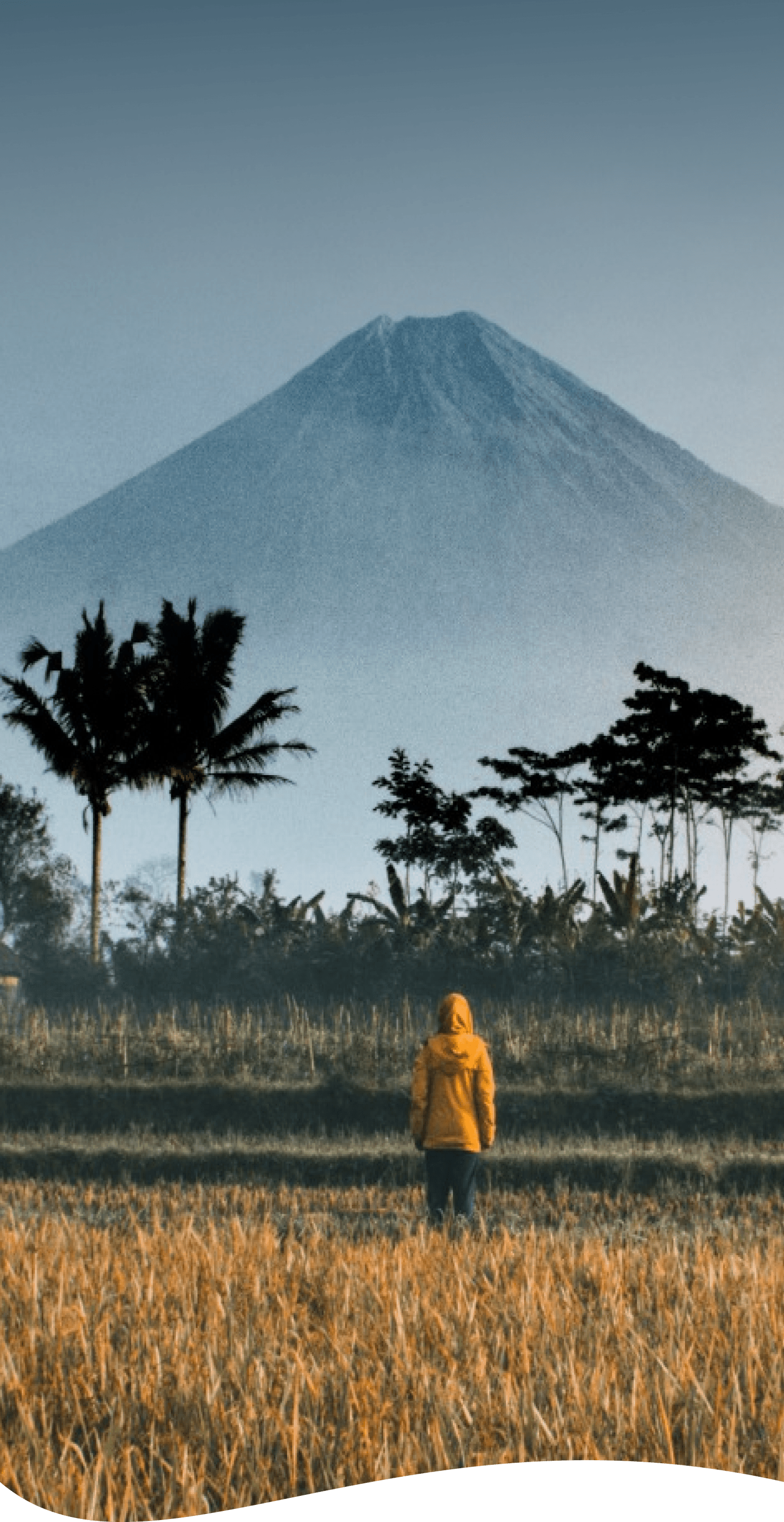 Indonesia Hero Image