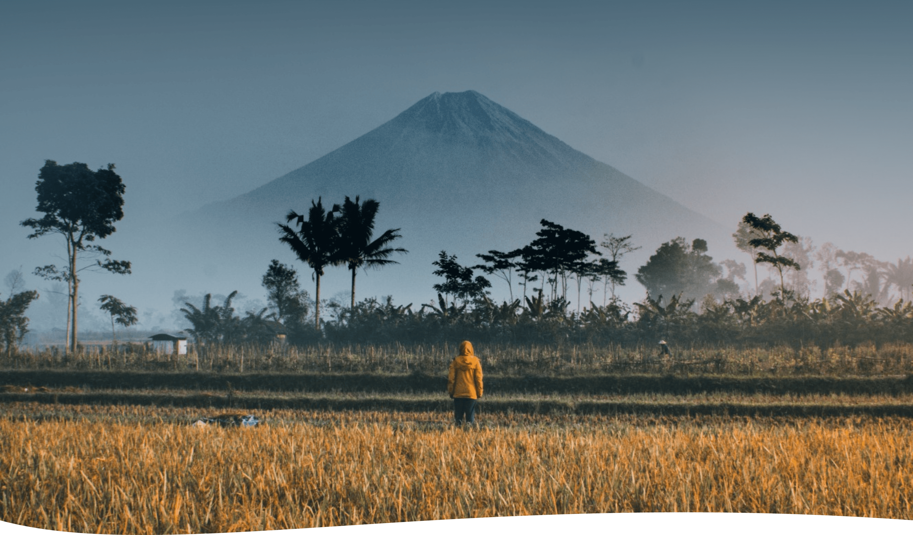 Indonesia Hero Image