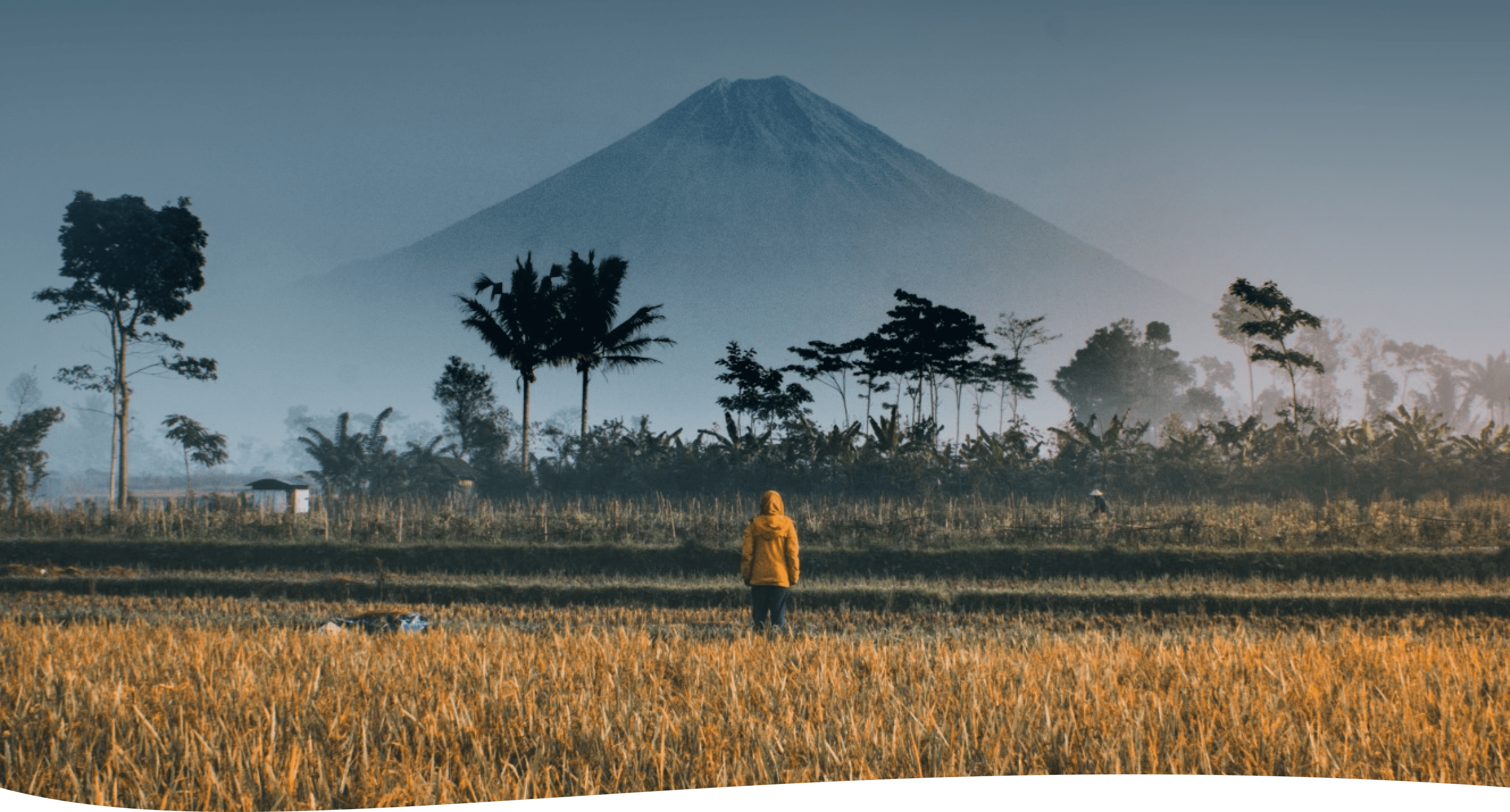 Indonesia Hero Image