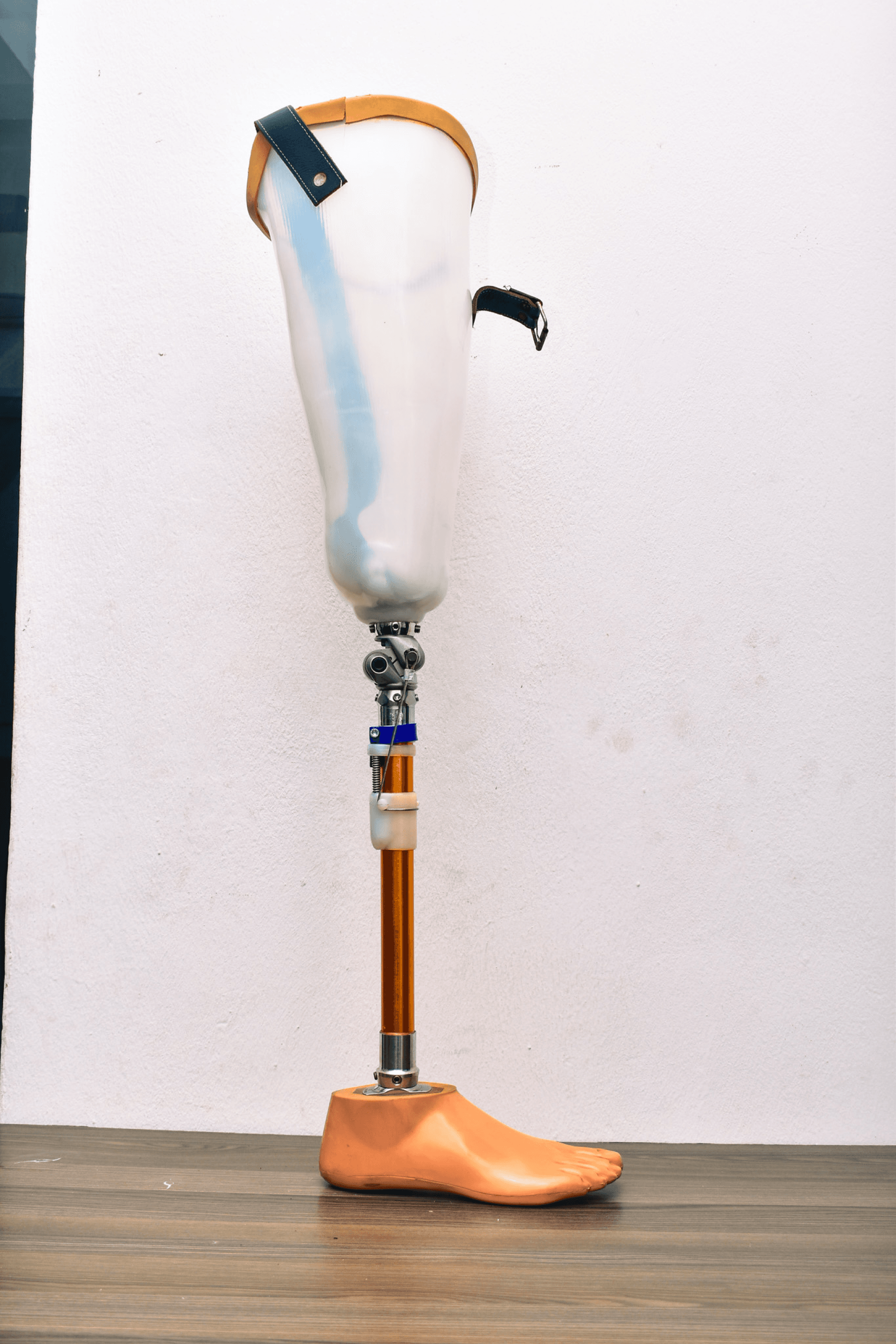 Hi-Tech Above Knee  Image